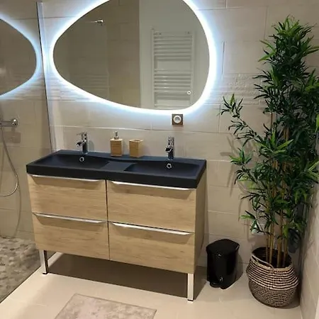 Avec Et Sauna *